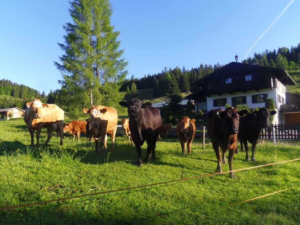 Almidylle Kathrin Villa Strobl Buitenkant foto